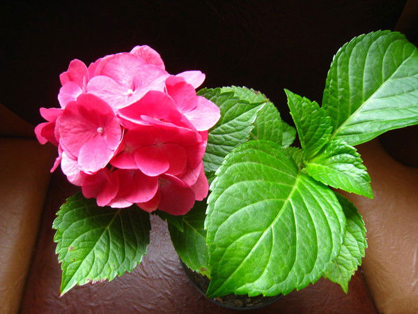 Татьяна Давыдик