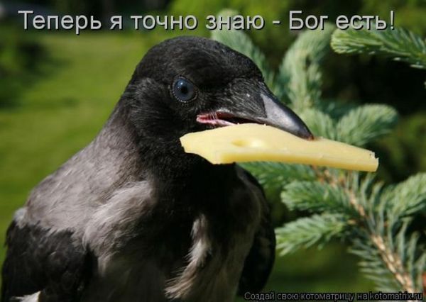 Светлана Котелло