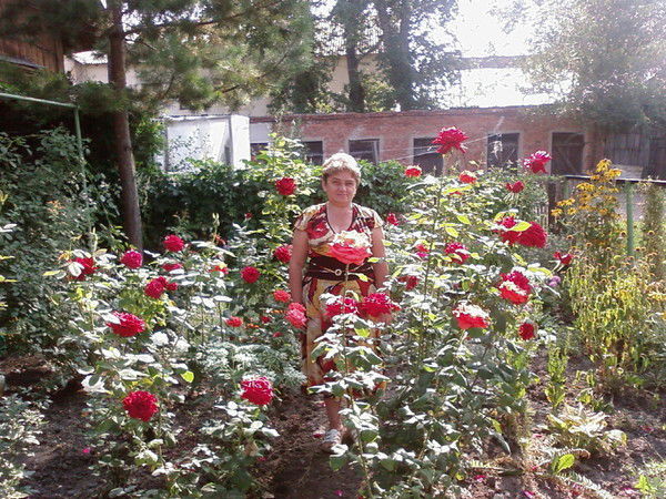 Елена Пистенкова