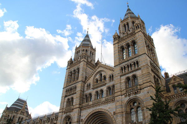 Анна Широкова