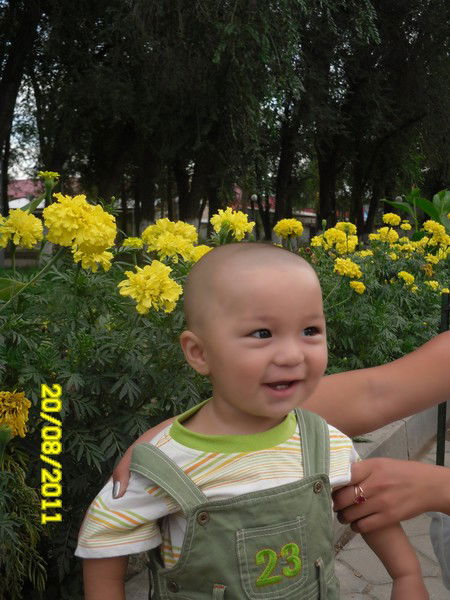 Ерлан Нияткабылов