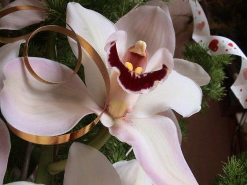 Александра Иванова