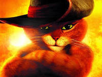 Рома Степаненко