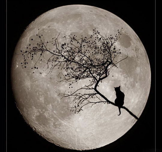 Владимир ....