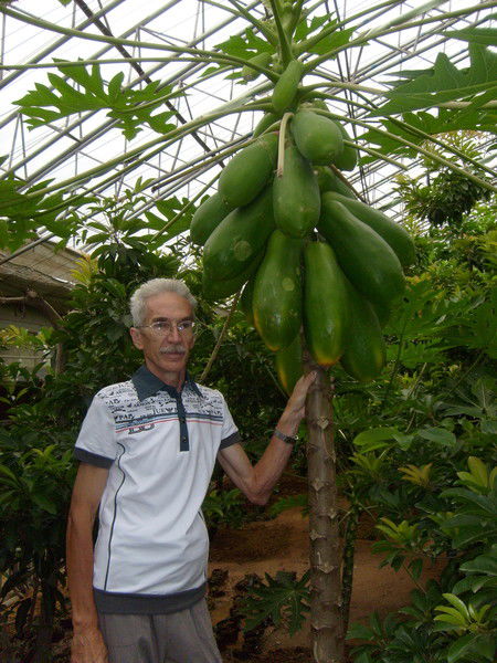 Виталий Родионов