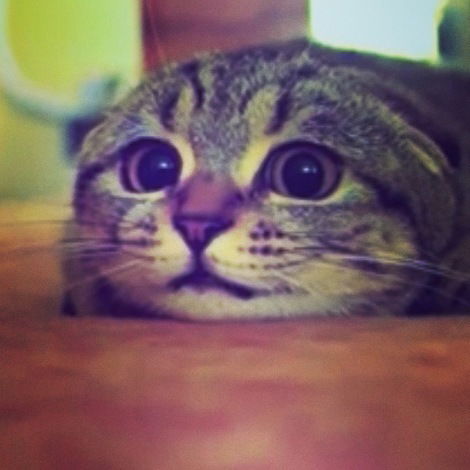 Ахмед Отжан