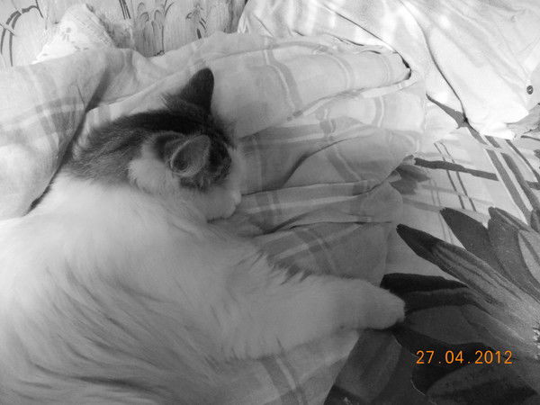 Марина Шувалова