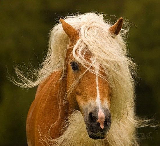 Ирина Глущенко