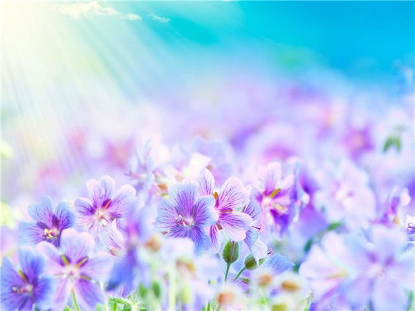 Марина Емильева