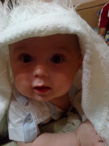 Елена Герасимова