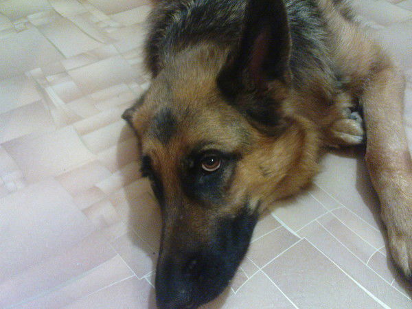 Таня Разбейко