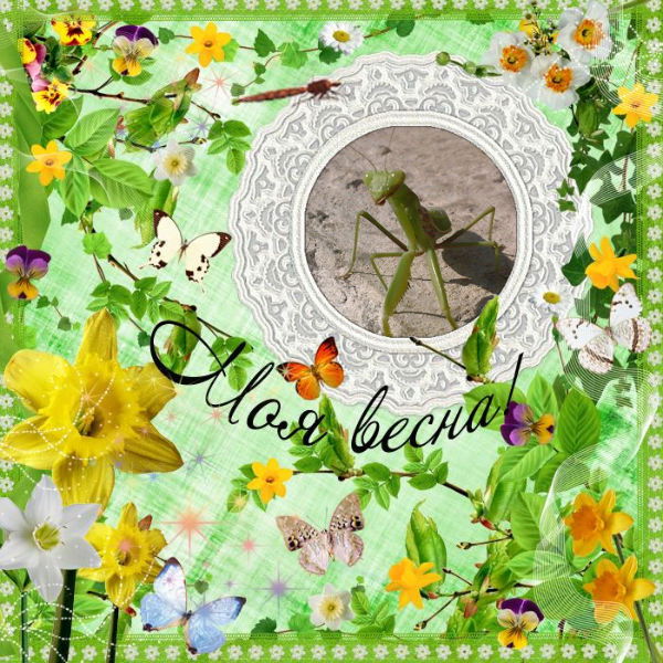 Алена Новокшонова