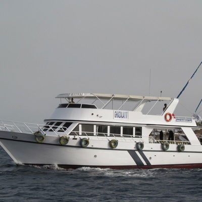 Сергей Сергей