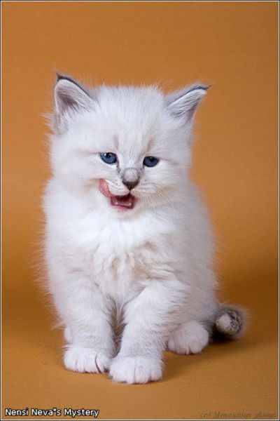 Ольга Дымкина