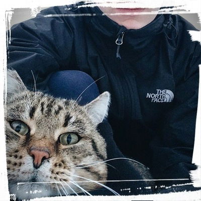 Александр Волков