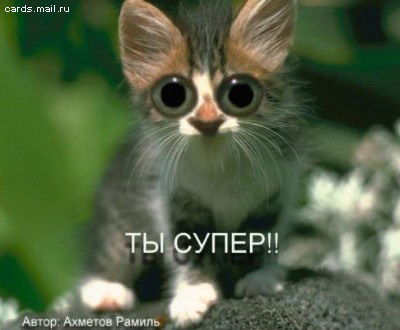 Александр Сержантов