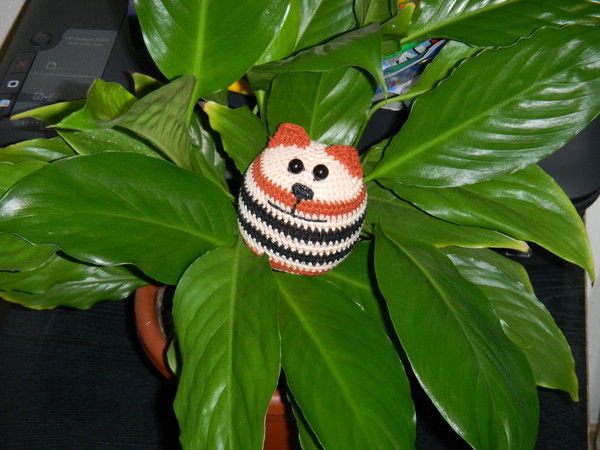 Анна Николаенко