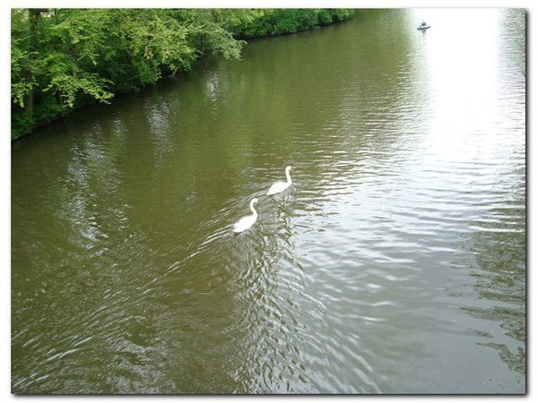 Вера Соболь