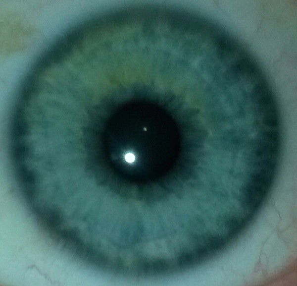 Сергей Ждановский