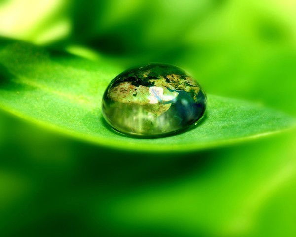 Екатерина Очередник