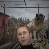 Андрей Белевич