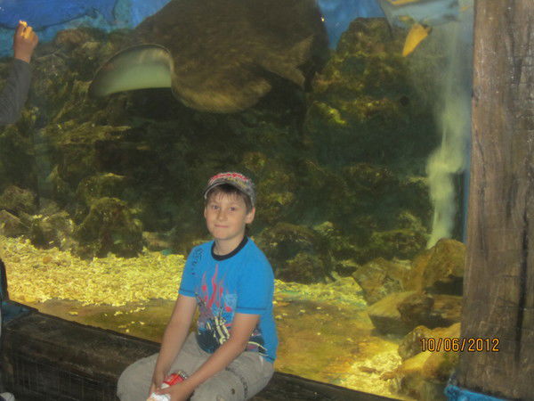 Александр Тиханкин