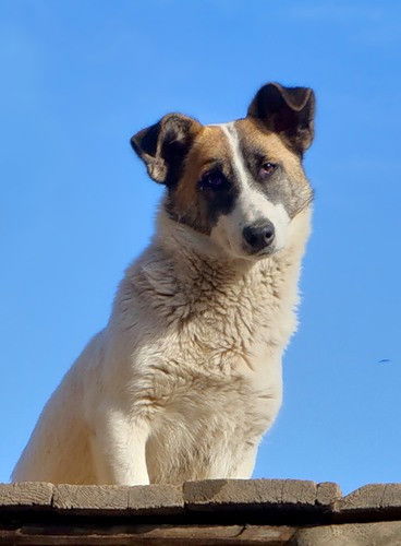 Евгений Потапов