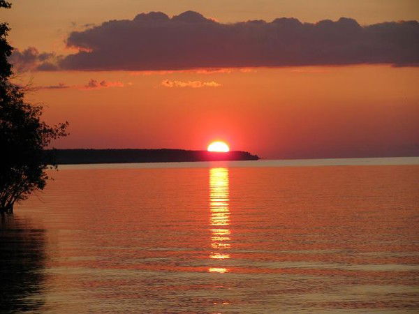 Лена Суровцева