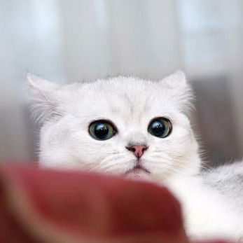 Люба Барнагян