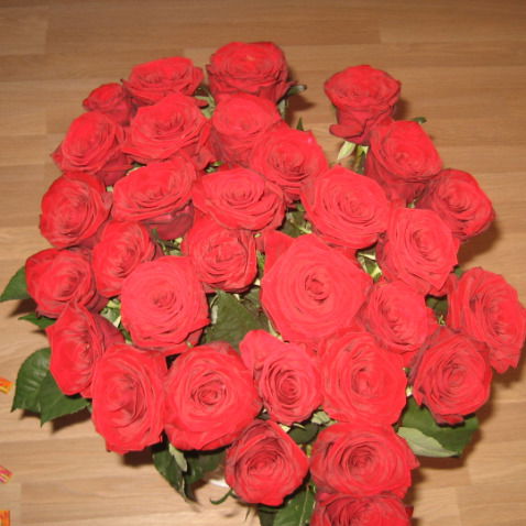 Инна Герцовская