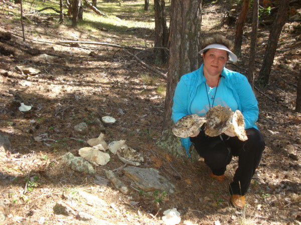 Галина Глушак