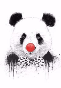 Андрей Соколов