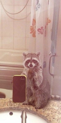 Євгеній Чепурной