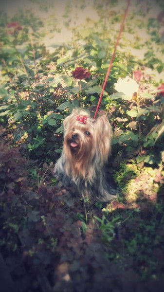 Юлия Клименко