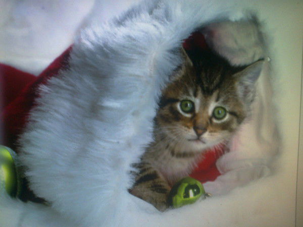 Александра...... ...