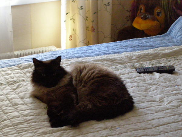 Сергей Гавриленко