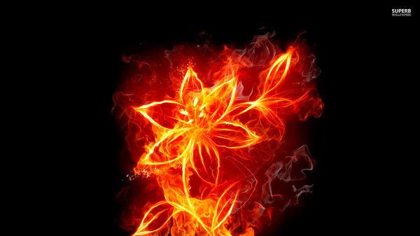 Марина Шмагельская