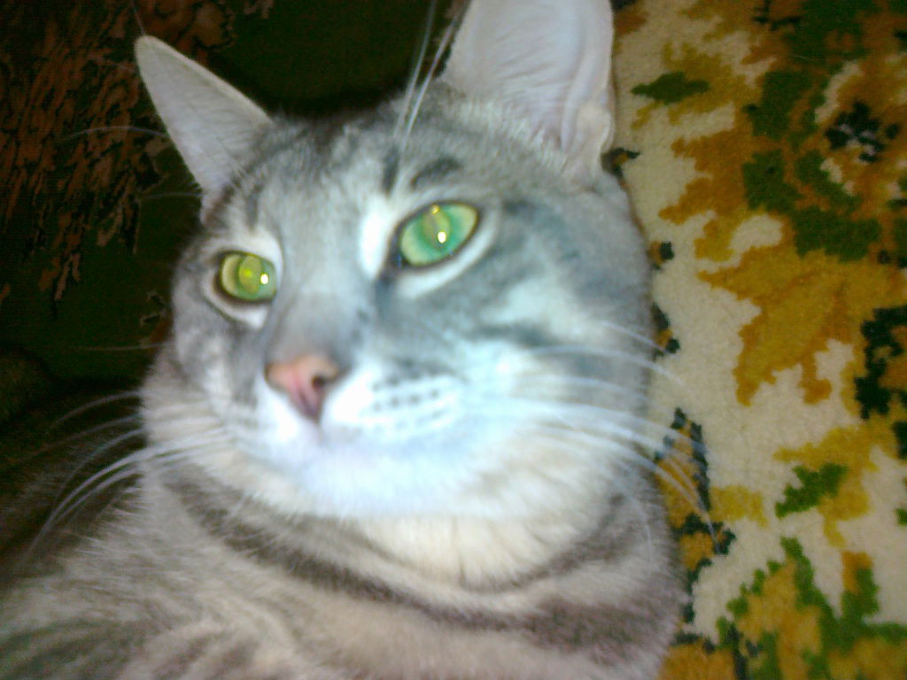 Александр Пушков