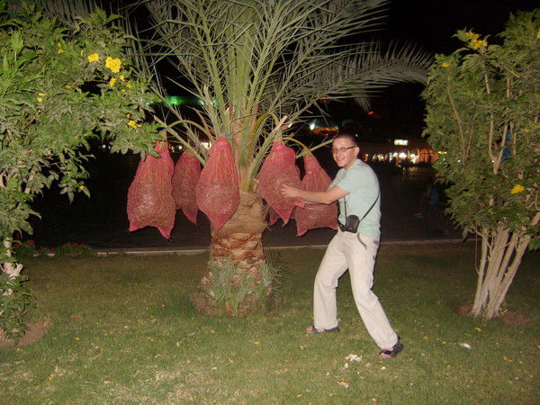 Алексей Гуреев