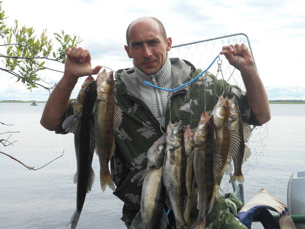 Дмитрий Горюнов