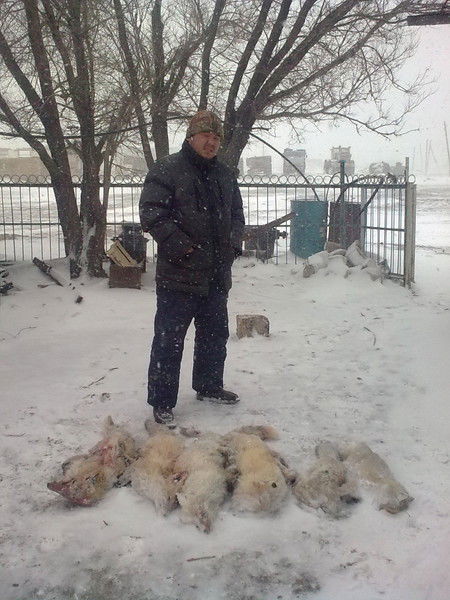 Асылхан Тлеулесов