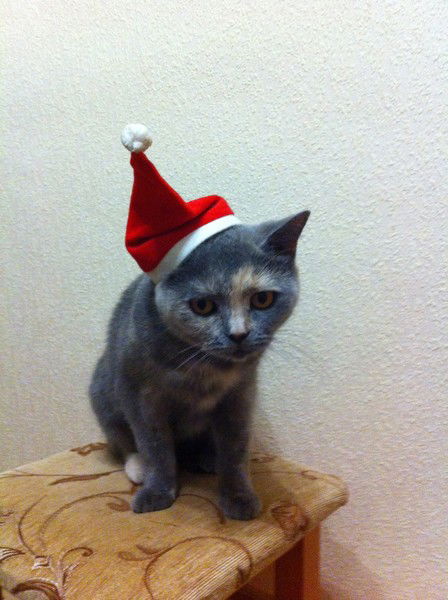 Игорь Прохоров