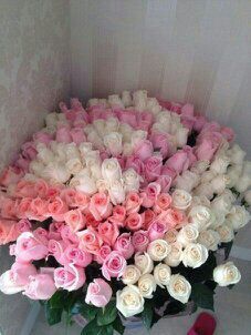 Алия Сейдалиева