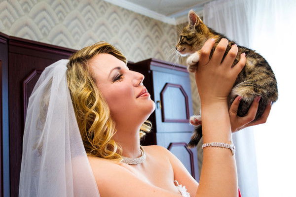 Елена Новикова