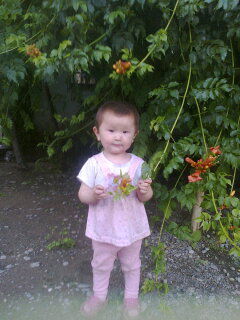 Чынара Алимканова