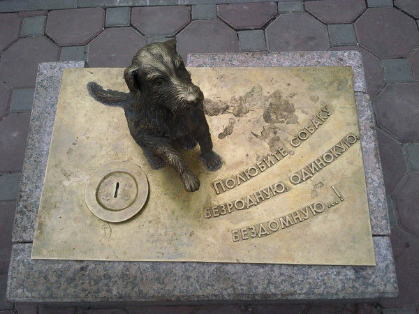 Виталий Дубровин