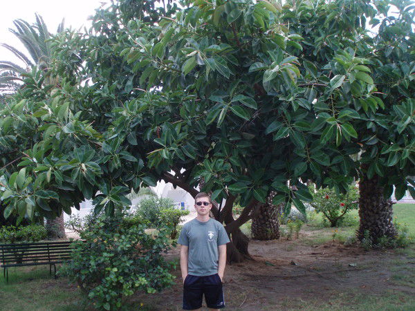 Сергей Паршин