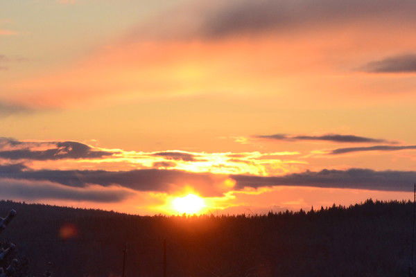 Евгения Бочарова