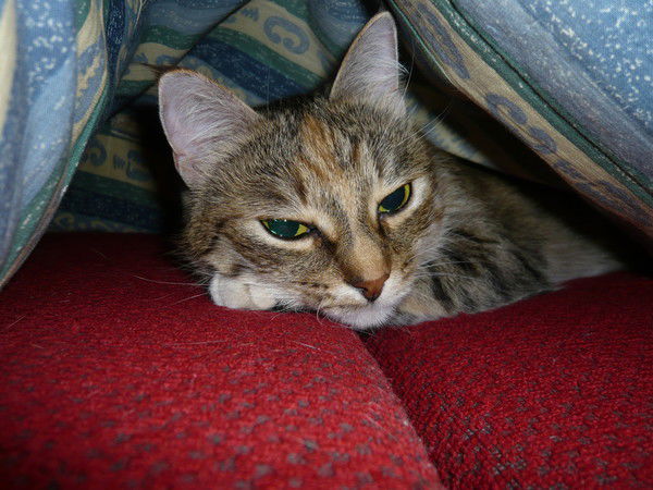 Леля Иванова