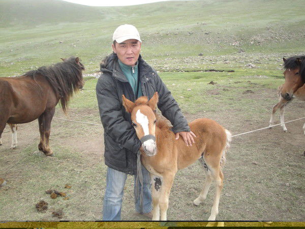 Нурболат Хабдай